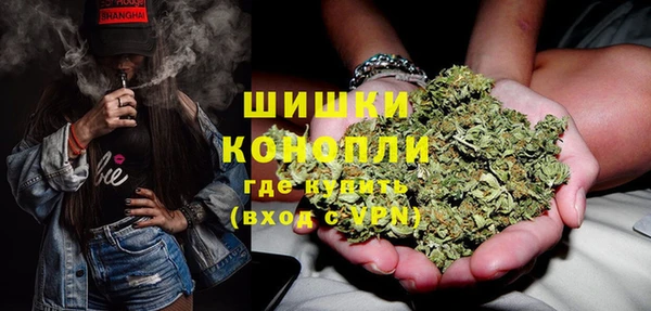 ALPHA-PVP Богородицк