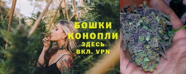 ALPHA-PVP Богородицк