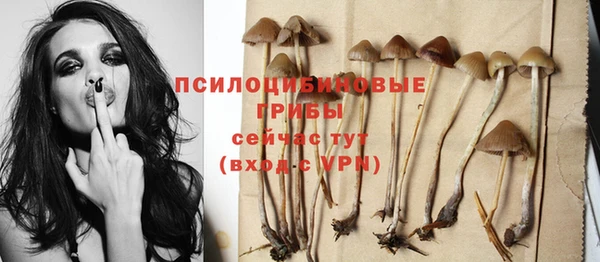ALPHA-PVP Богородицк