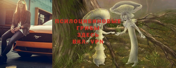 метадон Богородск