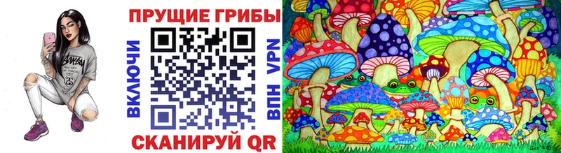 Псилоцибиновые грибы ЛСД  ОМГ ОМГ ссылки  Жуковский 